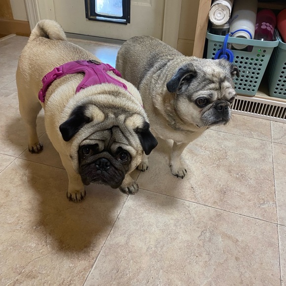 Meet your Posher, Lance - Picture 7 of 11